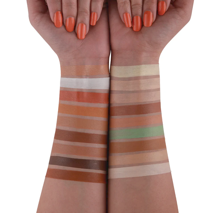 DAILY LIFE FOREVER 52 - Pro Artist Multitasker Corrector Palette - MPC001