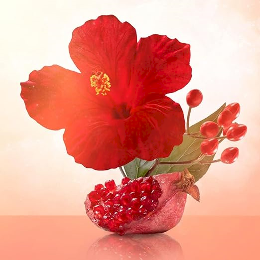 BVLGARI Omnia Coral Eau de Toilette For Her perfume