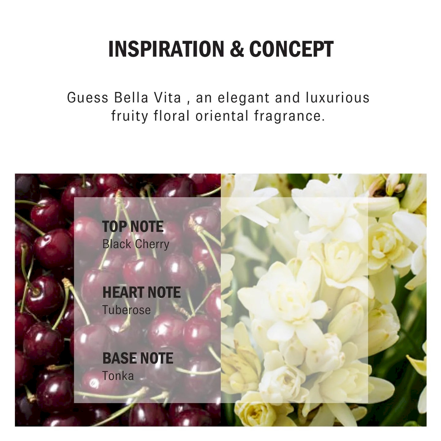 GUESS - BELLA VITA - EAU DE PARFUM