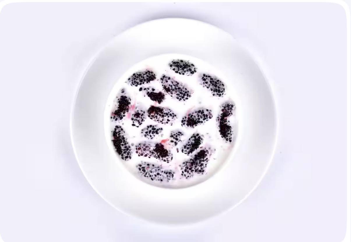 MY KITCHEN - FRUIT CREAM - MULBERRY