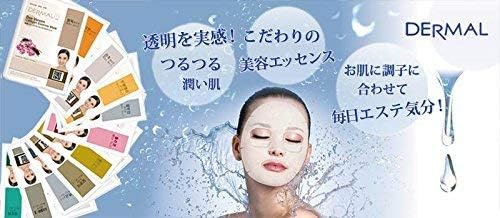 Dermal - White - Collagen Essence Mask