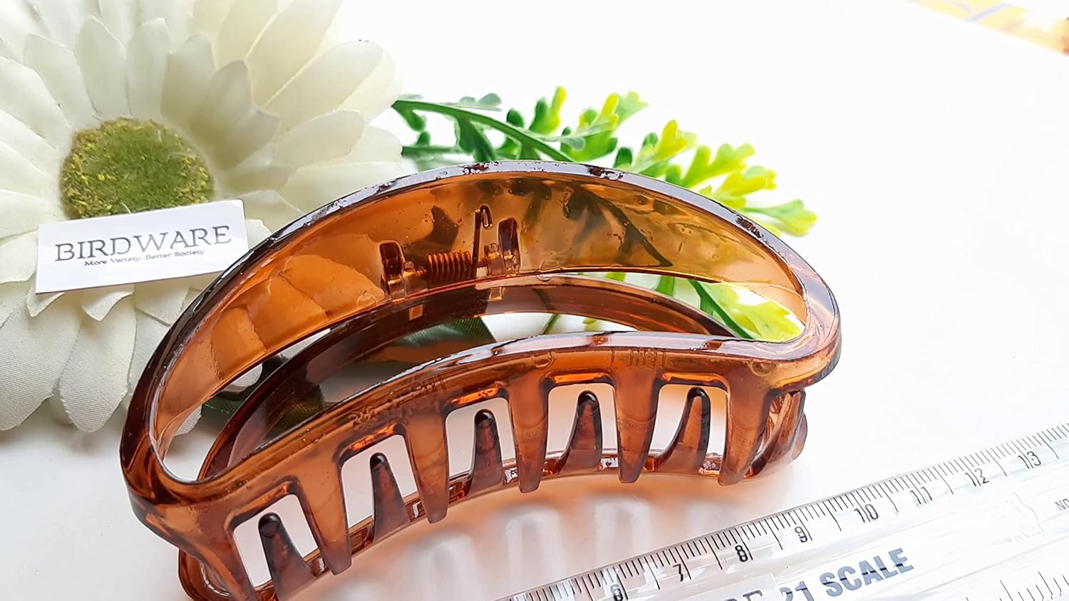 Birdware - Shell Color - Acrylic Material Stone For Women
