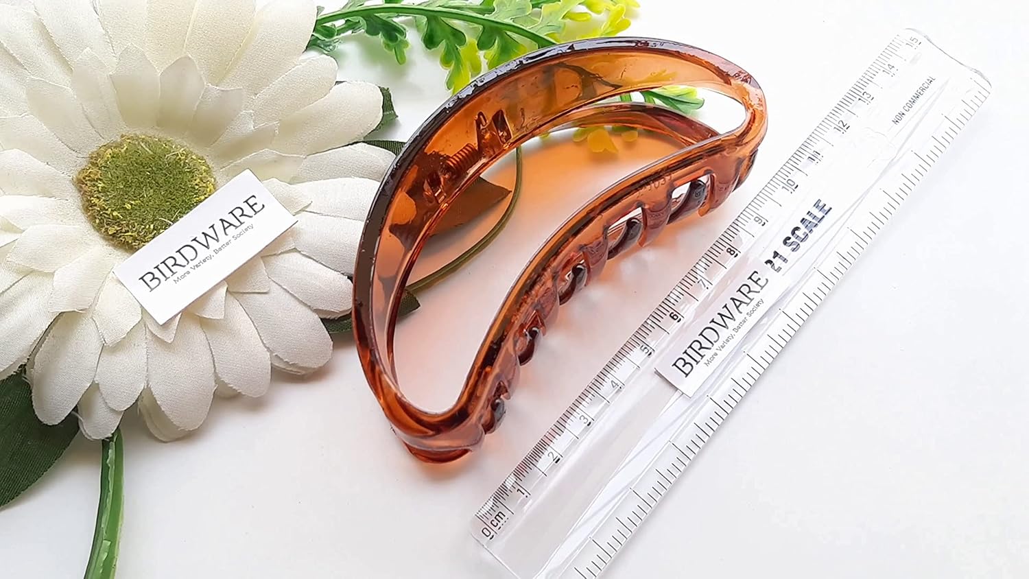Birdware - Shell Color - Acrylic Material Stone For Women