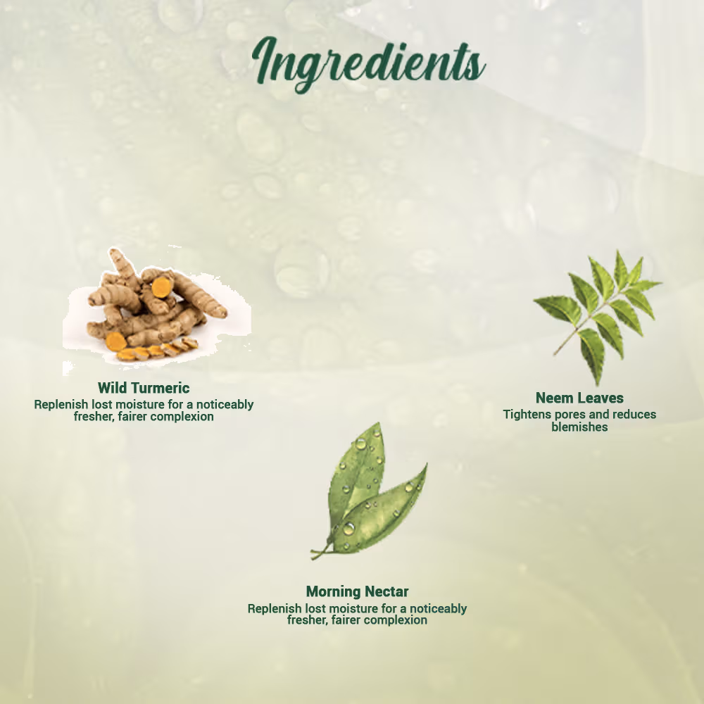 Biotique - Morning Nectar - Moisturize & Nourish - Face Wash