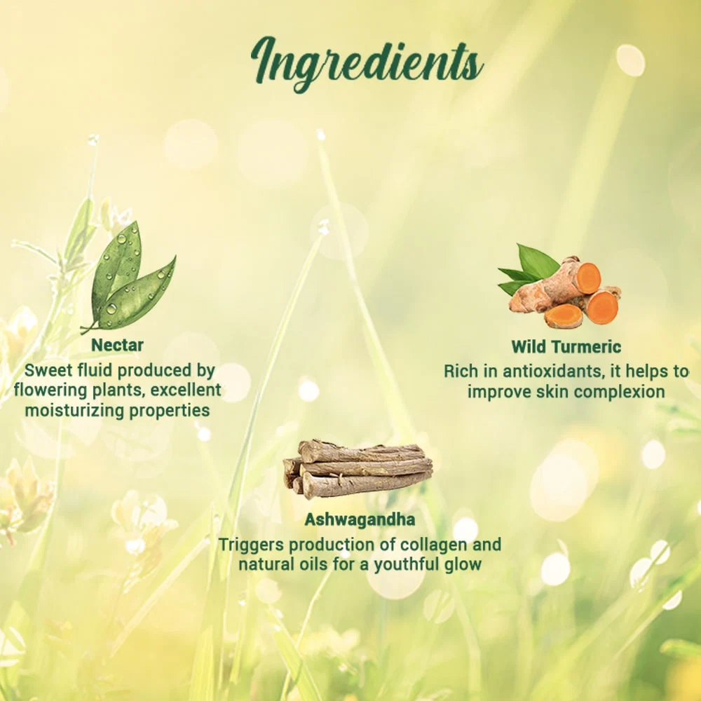 Biotique - Morning Nectar - Nourish & Hydrate - Moisturizer
