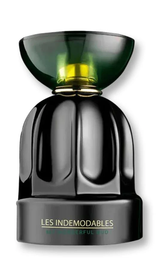 Les Indemodables - My Wonderful Oud - Albane Noble