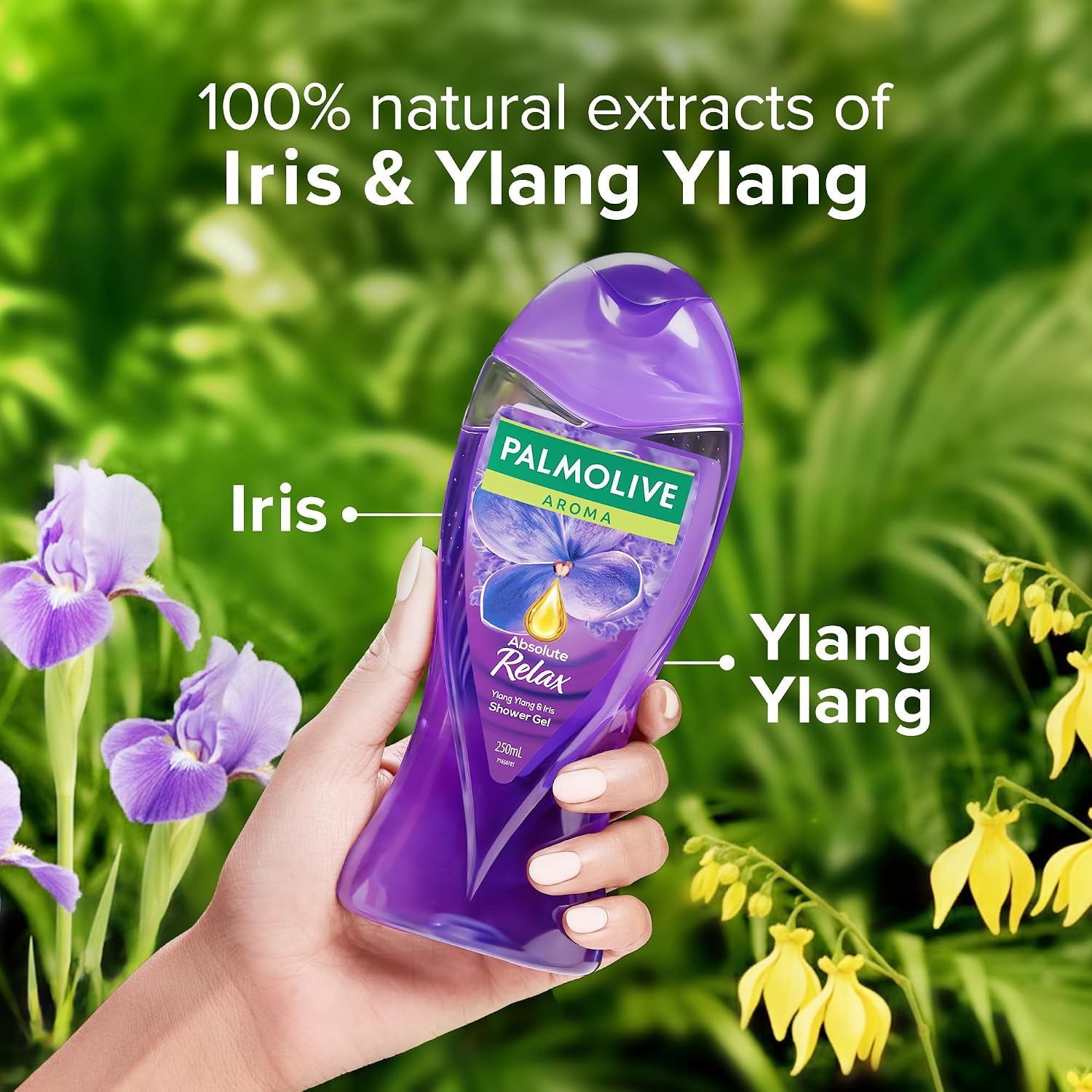 Palmolive - Aroma - Ylang Ylang Essential Oil & Iris - Absolute Relax-Body Wash