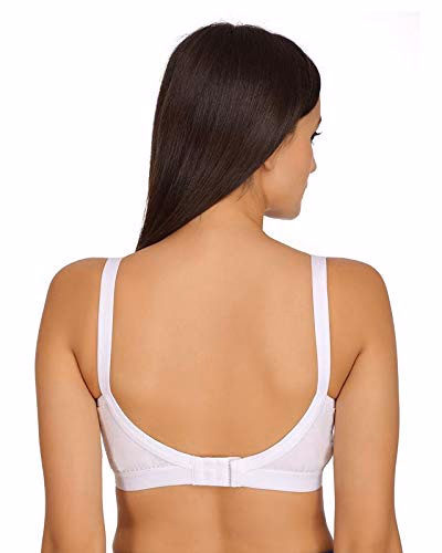 Jupiter Pan - White - Lightly padded Bra